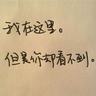 特朗普说伊斯兰国二号头目被清除